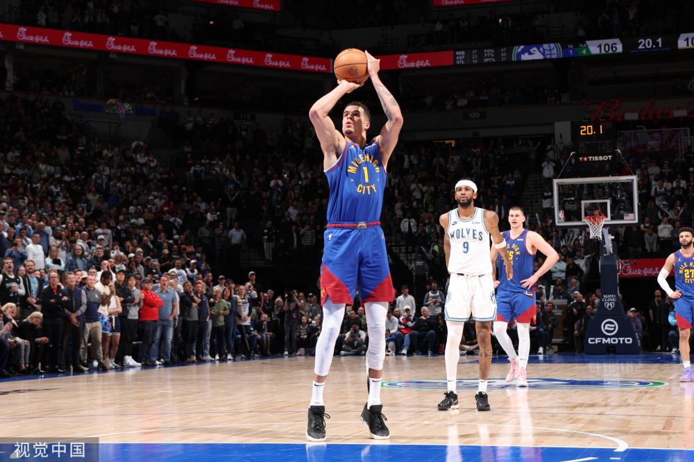 寥寥无几 寥寥无几